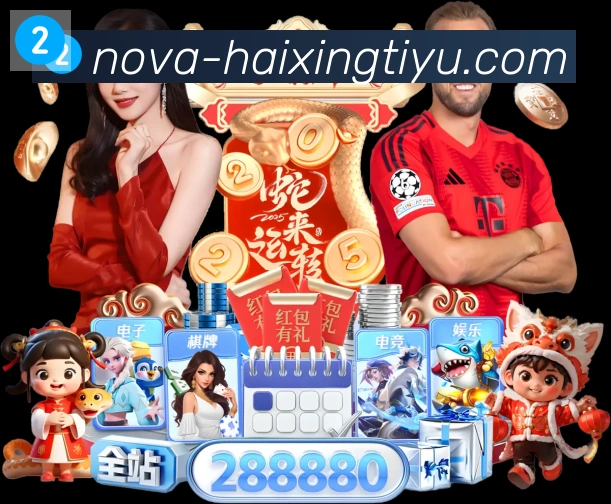 战术分析频道